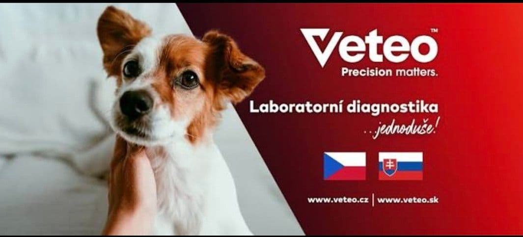 Nabídka všech vyšetření na dotaz