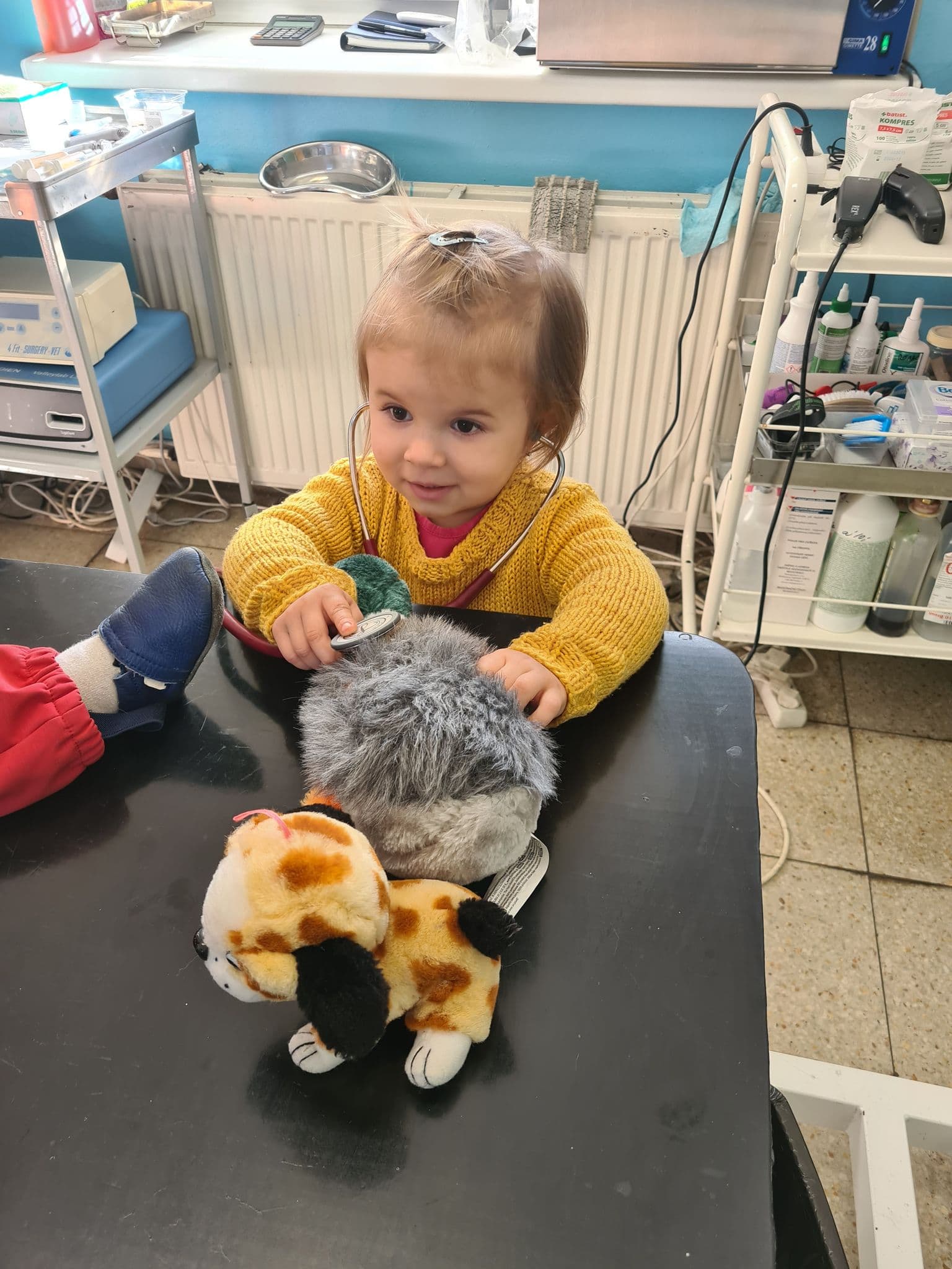Kvalitní klinické vyšetření zvířátka při každé návštěvě je základ :)