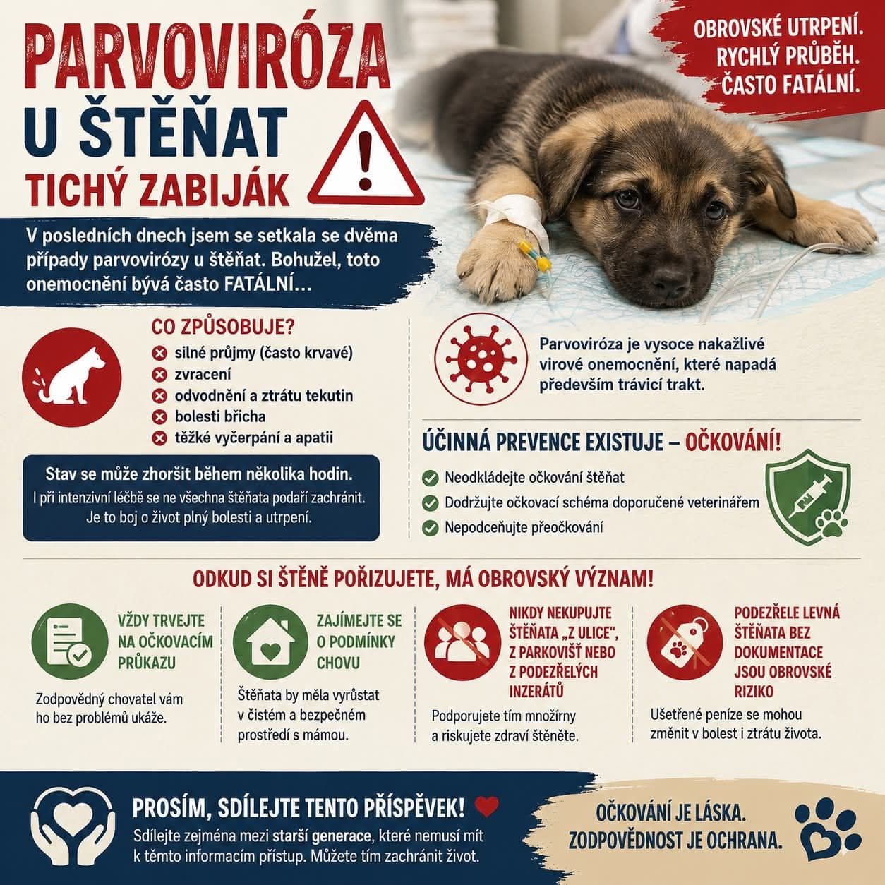 Parvoviroza štěňat